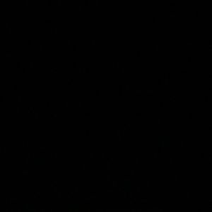 Meet your Posher, Andres